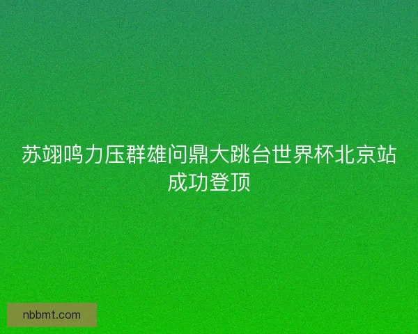 苏翊鸣力压群雄问鼎大跳台世界杯北京站成功登顶